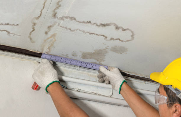 Reliable Mold Remediation contractor in San Anselmo, CA by Water Damage Irwin